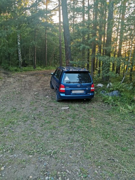 В Железногорске полицейский обнаружил пропавшего грибника, которому стало плохо во время сбора дикоросов