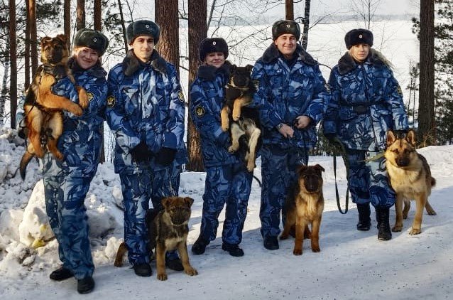 В Железногорске сотрудники полиции и общественники провели яркое мероприятие для жителей города